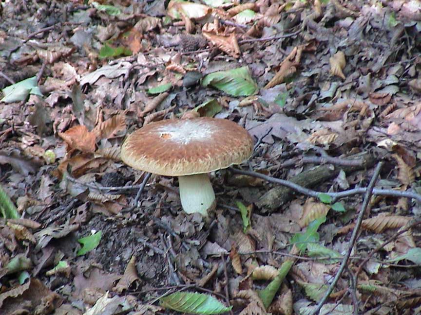 DSC00009