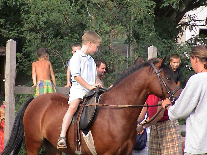 DSC00016
