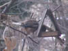 DSC00025